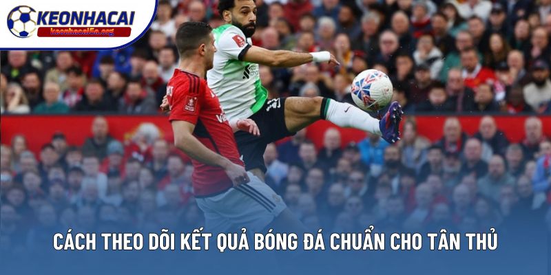 Hướng dẫn cách theo dõi kết quả bóng đá chuẩn cho tân thủ